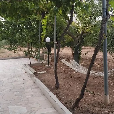 Dependance Grazia טרני